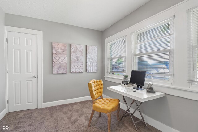 1720 Woodlawn Ave, Indianapolis, IN 46203 - carpeted home office featuring baseboards