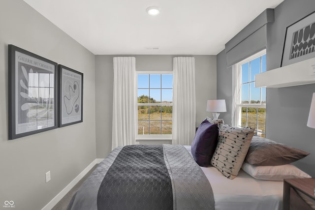6702 Halsey St, Zionsville, IN 46077 - bedroom with baseboards