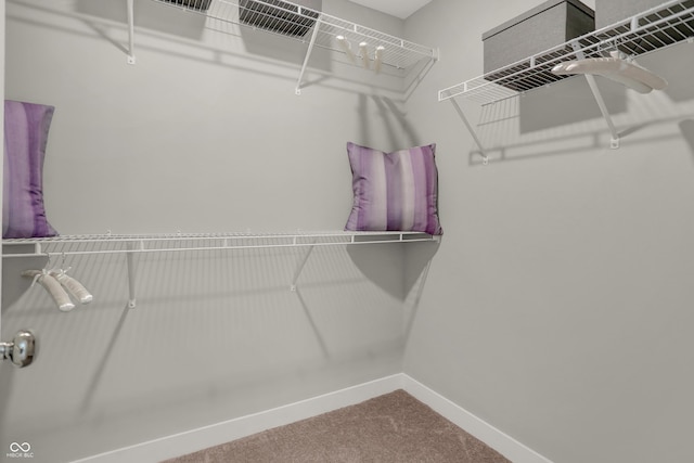 6702 Halsey St, Zionsville, IN 46077 - spacious closet featuring carpet