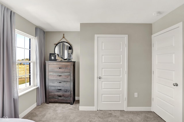 6702 Halsey St, Zionsville, IN 46077 - bedroom with light colored carpet, multiple windows, and baseboards