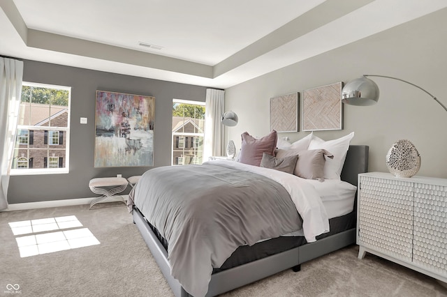 6702 Halsey St, Zionsville, IN 46077 - carpeted bedroom featuring multiple windows, a tray ceiling, and baseboards