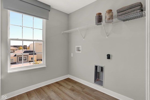 6702 Halsey St, Zionsville, IN 46077 - laundry area with baseboards, wood finished floors, washer hookup, and hookup for an electric dryer