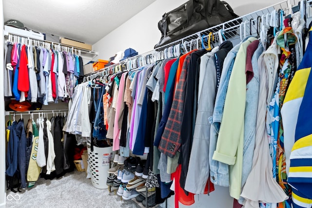 13485 Mancroft Dr, Fishers, IN 46037 - spacious closet featuring carpet