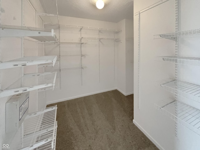 15110 Fawn Hollow Ln, Noblesville, IN 46060 - spacious closet with carpet floors