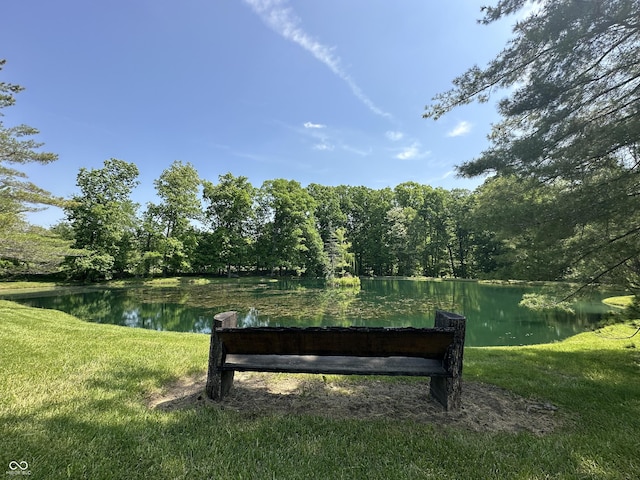 2034 Dubois Rd, Spencer, IN 47460 - view of grassy yard featuring a water view and a forest view
