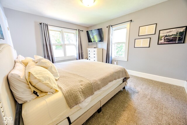 517 Bernard Ave, Indianapolis, IN 46208 - bedroom featuring carpet and baseboards
