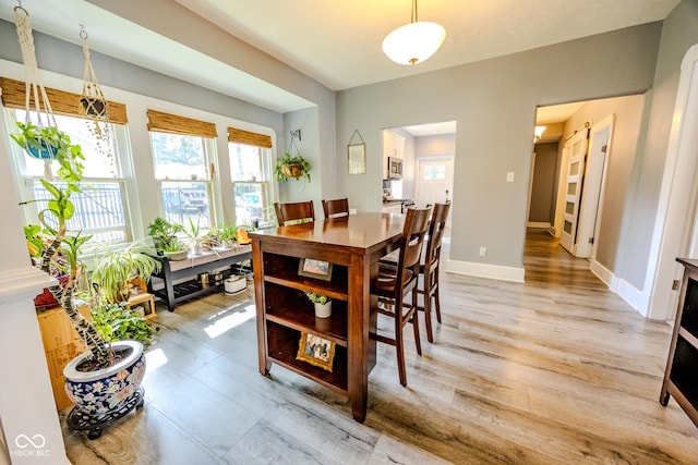 517 Bernard Ave, Indianapolis, IN 46208 - dining room with plenty of natural light, light wood-style flooring, and baseboards