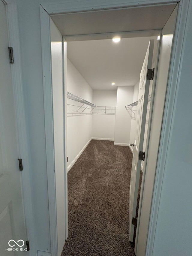 844 Ben Franklin St, Cloverdale, IN 46120 - spacious closet with dark colored carpet