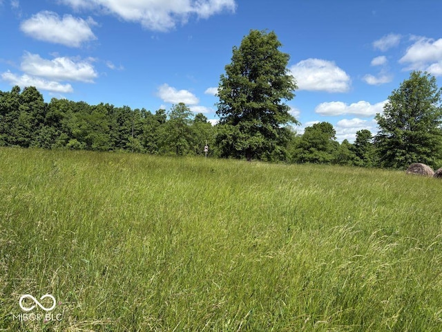 844 Ben Franklin St, Cloverdale, IN 46120 - view of undeveloped land