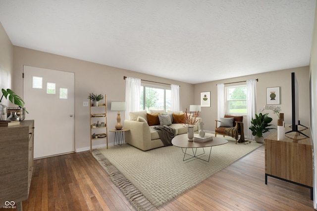 7482 W US Highway 40, Indianapolis, IN 46229 - living room with hardwood / wood-style flooring, plenty of natural light, a textured ceiling, and baseboards