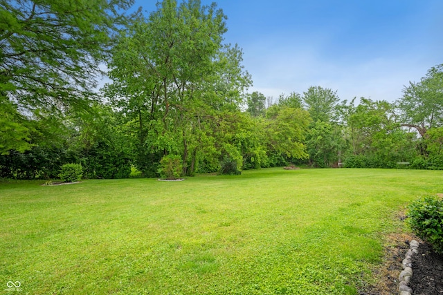 7482 W US Highway 40, Indianapolis, IN 46229 - view of grassy yard