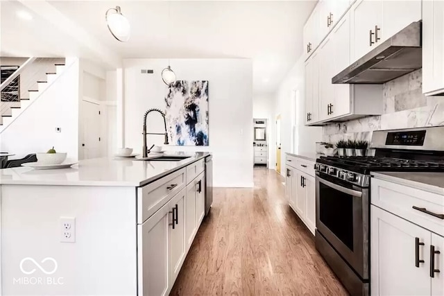 918 S State Ave, Indianapolis, IN 46203 - kitchen with stainless steel appliances, under cabinet range hood, light wood-style flooring, tasteful backsplash, and a sink