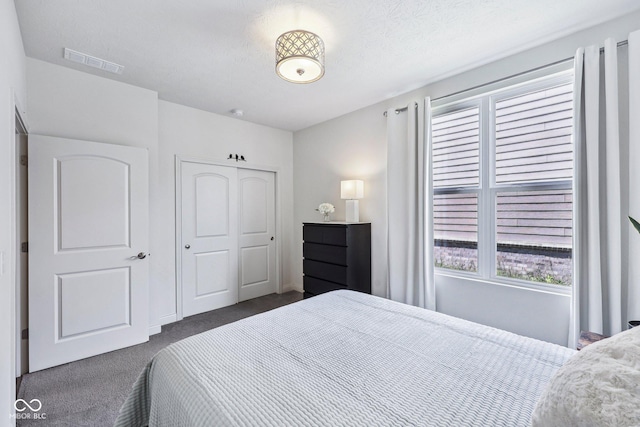 14458 Carlow Run, Carmel, IN 46074 - bedroom with dark carpet and a closet