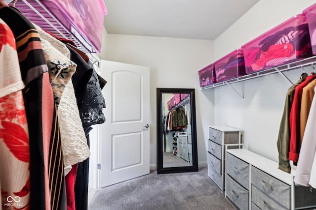 14458 Carlow Run, Carmel, IN 46074 - walk in closet with carpet flooring