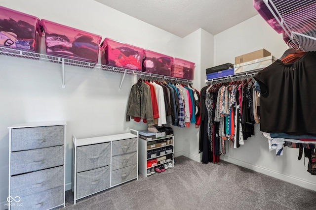 14458 Carlow Run, Carmel, IN 46074 - walk in closet with carpet flooring