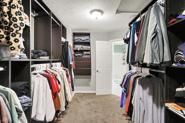 7312 Drum Castle Ct, Indianapolis, IN 46259 - spacious closet with carpet floors