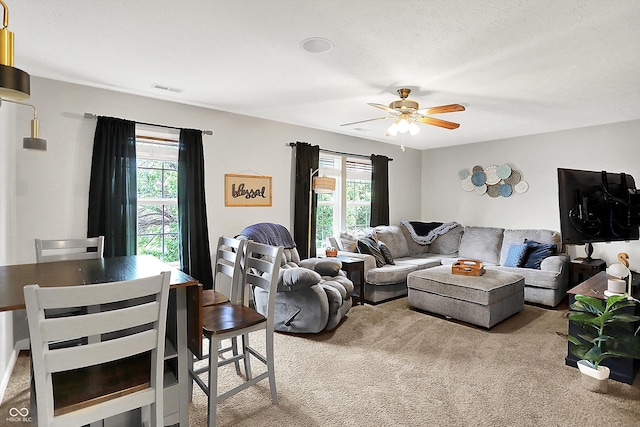 7312 Drum Castle Ct, Indianapolis, IN 46259 - living room featuring carpet floors, plenty of natural light, and ceiling fan