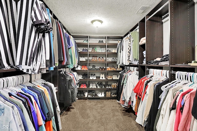7312 Drum Castle Ct, Indianapolis, IN 46259 - walk in closet with carpet