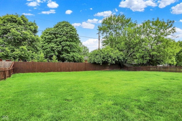 7312 Drum Castle Ct, Indianapolis, IN 46259 - view of yard