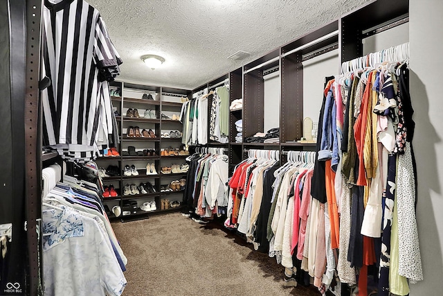 7312 Drum Castle Ct, Indianapolis, IN 46259 - walk in closet featuring carpet