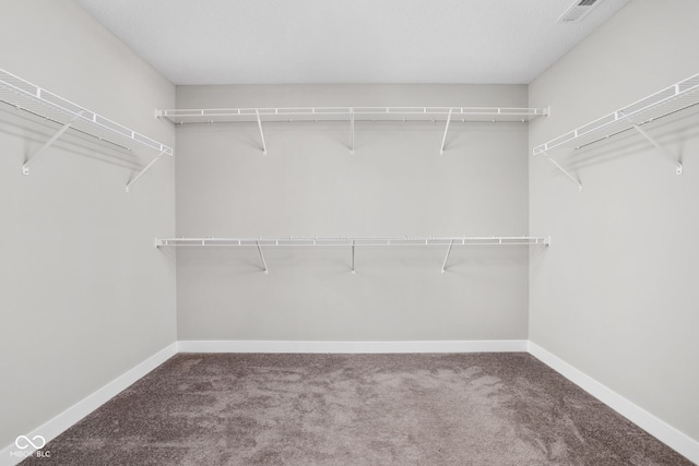 11588 Brooks Farm Blvd, Noblesville, IN 46060 - walk in closet with carpet