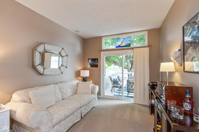 3403 Island Way, Indianapolis, IN 46214 - living room featuring light carpet and baseboards