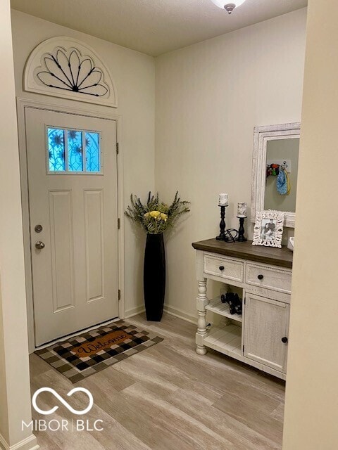 1349 Sunset Blvd, Avon, IN 46123 - foyer entrance with light wood-type flooring and baseboards