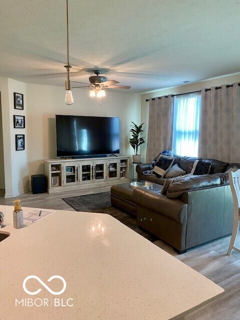 1349 Sunset Blvd, Avon, IN 46123 - living room with ceiling fan, a textured ceiling, and light wood-style floors