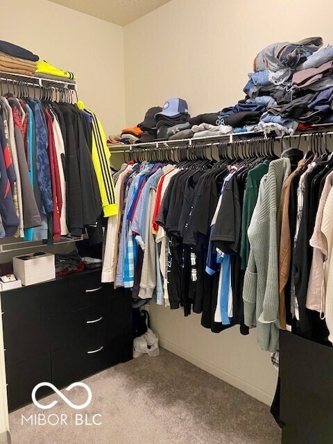 1349 Sunset Blvd, Avon, IN 46123 - spacious closet with carpet floors