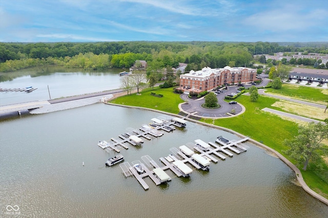 20971 Shoreline Ct Unit 201, Noblesville, IN 46062 - aerial view of a nearby body of water and a heavily wooded area