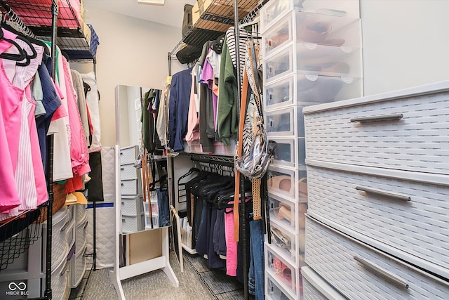 20971 Shoreline Ct Unit 201, Noblesville, IN 46062 - spacious closet with carpet floors