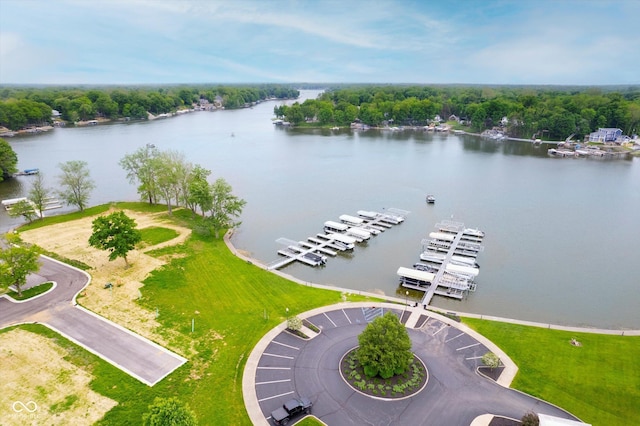 20971 Shoreline Ct Unit 201, Noblesville, IN 46062 - bird's eye view of a large body of water