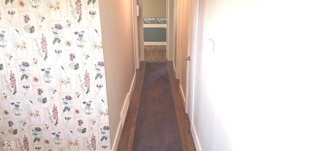 3107 N 100 W, Shelbyville, IN 46176 - hallway with baseboards and dark carpet