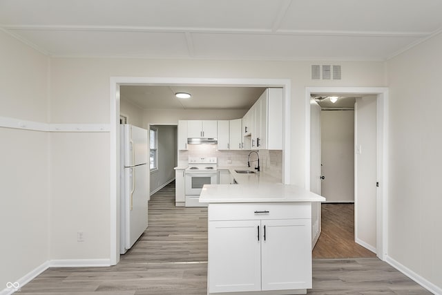 625 E 106th St, Carmel, IN 46280 - kitchen with white appliances, under cabinet range hood, light wood finished floors, light countertops, and a sink