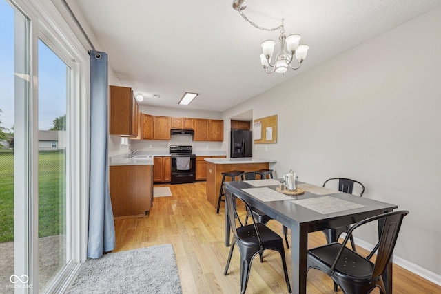 764 Port Dr, Avon, IN 46123 - dining room with plenty of natural light, light wood-style floors, a chandelier, and baseboards