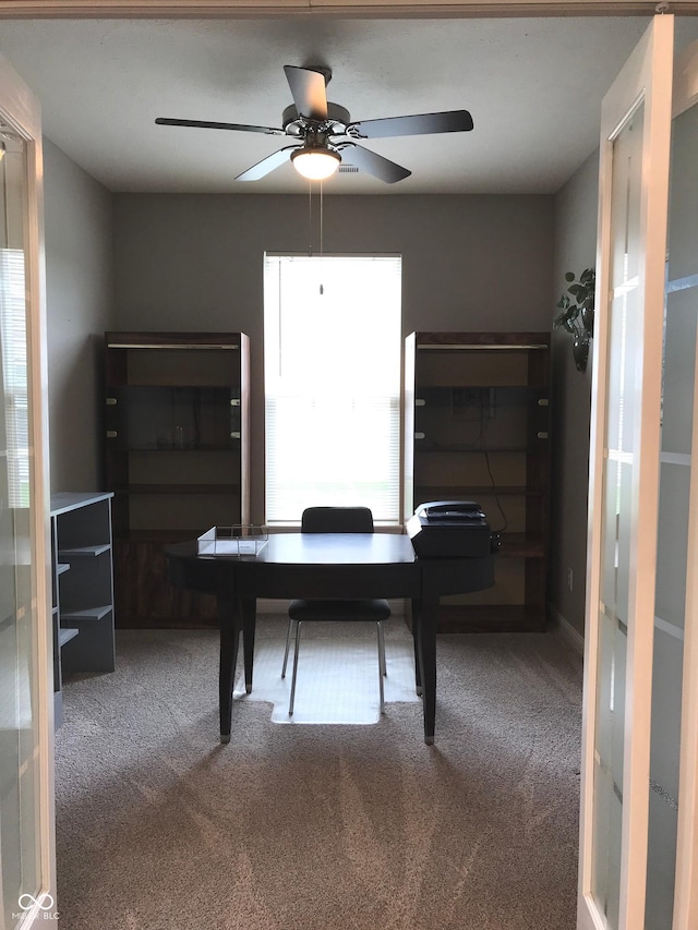9106 Hedley Way E, Avon, IN 46123 - office space with carpet and ceiling fan