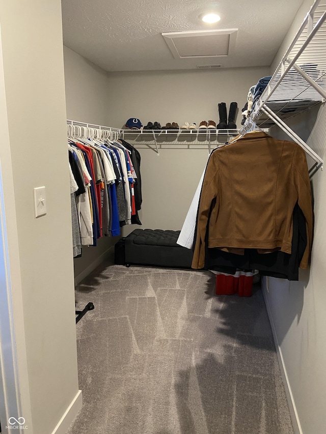 8876 Boylan Pl, Pendleton, IN 46064 - walk in closet with attic access and carpet flooring