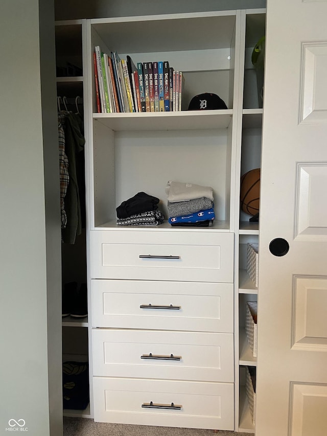 8876 Boylan Pl, Pendleton, IN 46064 - view of closet