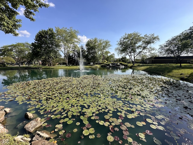 7601 Newport Bay Dr Unit 203, Indianapolis, IN 46240 - water view