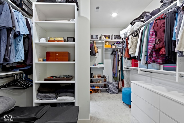 17359 Wilkes Way, Westfield, IN 46074 - spacious closet featuring carpet