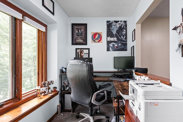 5412 Green Hills Dr, Brownsburg, IN 46112 - office area with plenty of natural light and baseboards