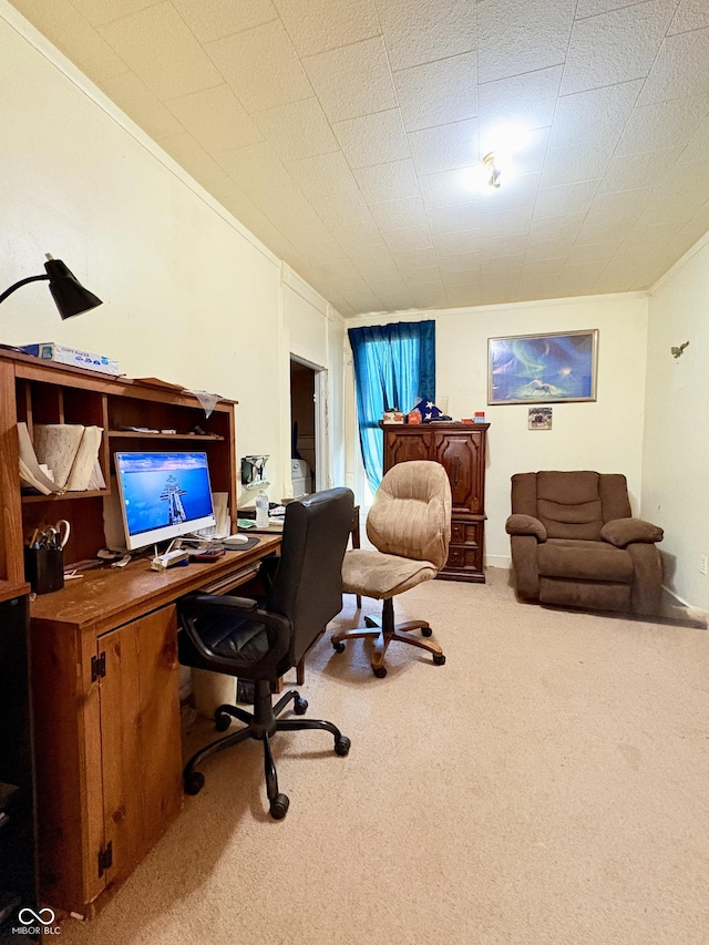 404 S Indiana St, Roachdale, IN 46172 - office area featuring carpet flooring