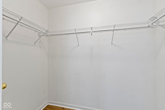 975 Atir Ln, Greenfield, IN 46140 - walk in closet featuring wood finished floors