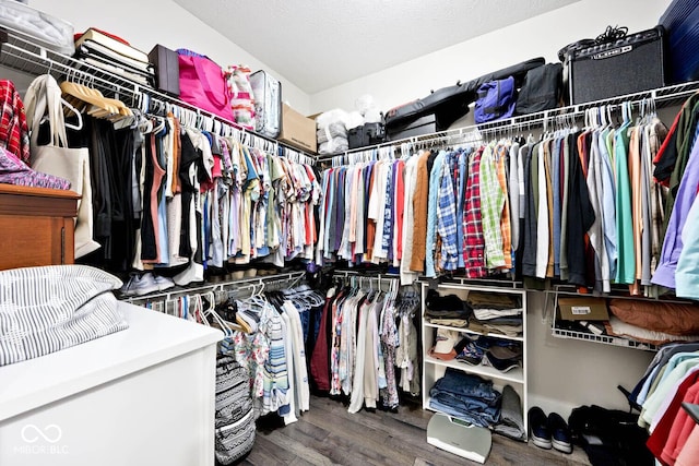 217 N Liberty Blvd, Mooresville, IN 46158 - walk in closet featuring wood finished floors