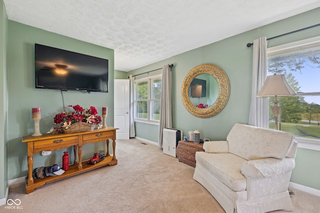 7441 State Road 60 W, Mitchell, IN 47446 - living area featuring a textured ceiling, carpet floors, and baseboards