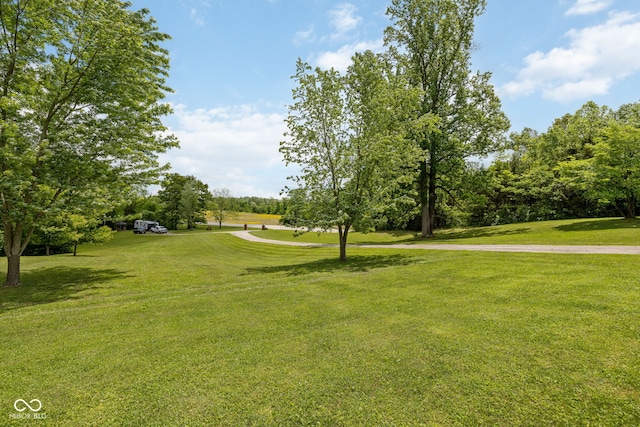 7441 State Road 60 W, Mitchell, IN 47446 - surrounding community with a yard and view of wooded area