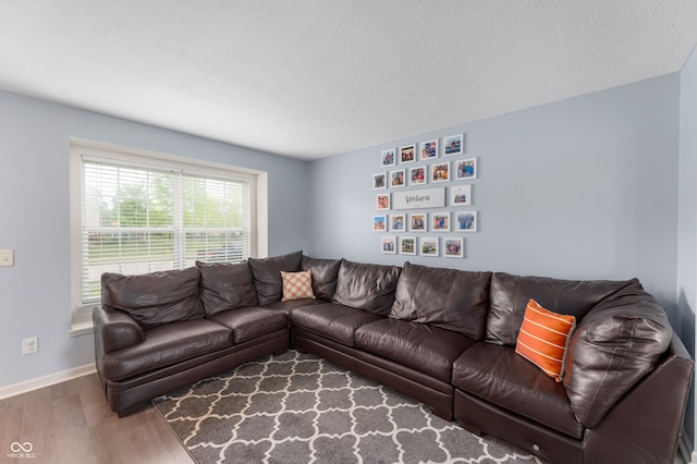 3638 Fieldstone Ln, Plainfield, IN 46168 - living room featuring wood finished floors and baseboards