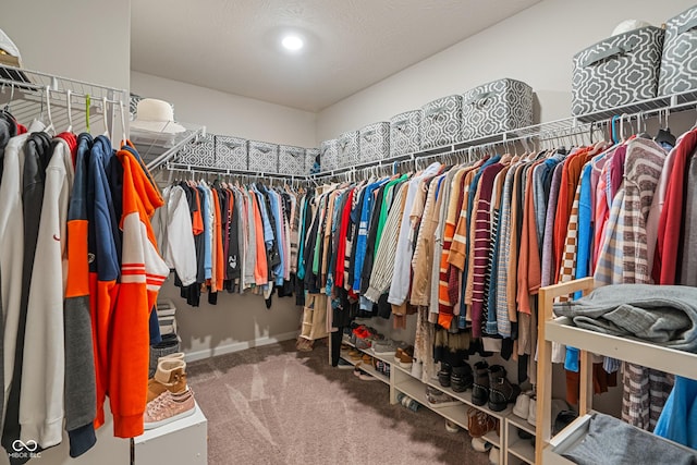 918 Cass Dr, Franklin, IN 46131 - walk in closet with carpet floors