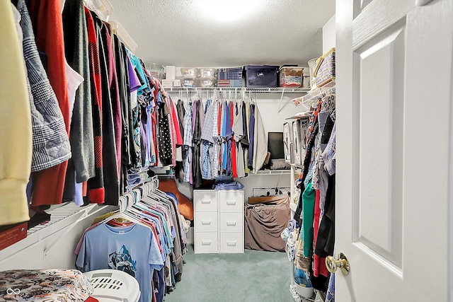 2623 Senators Way, Indianapolis, IN 46217 - spacious closet featuring carpet flooring