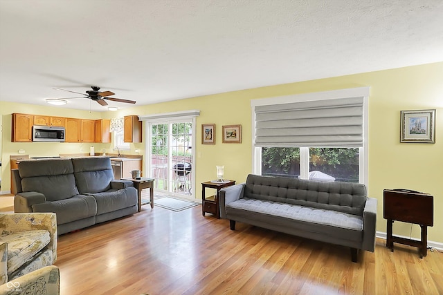 2623 Senators Way, Indianapolis, IN 46217 - living room featuring light wood finished floors and ceiling fan